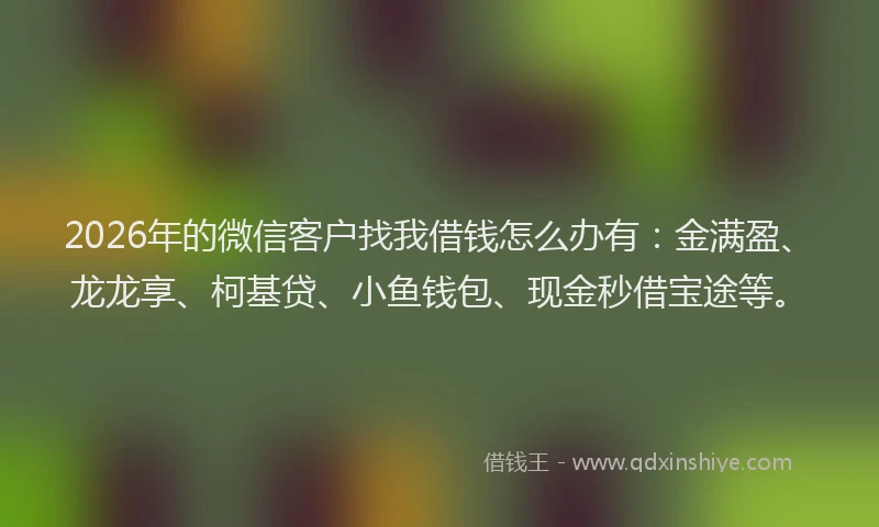 2026年的微信客户找我借钱怎么办有：金满盈、龙龙享、柯基贷、小鱼钱包、现金秒借宝途等。