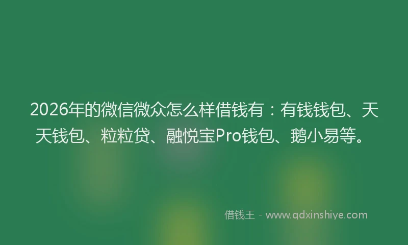 2026年的微信微众怎么样借钱有：有钱钱包、天天钱包、粒粒贷、融悦宝Pro钱包、鹅小易等。