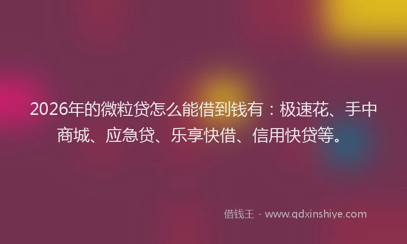 2026年的微粒贷怎么能借到钱有：极速花、手中商城、应急贷、乐享快借、信用快贷等。