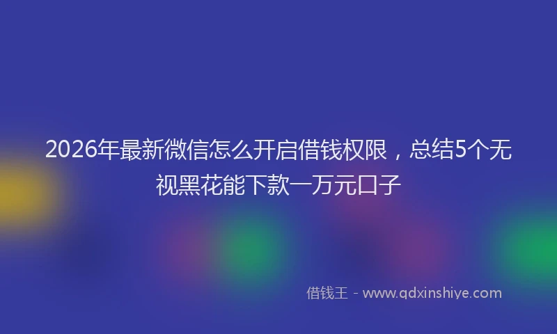 2026年最新微信怎么开启借钱权限，总结5个无视黑花能下款一万元口子