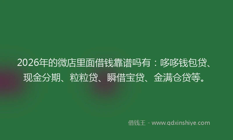 2026年的微店里面借钱靠谱吗有：哆哆钱包贷、现金分期、粒粒贷、瞬借宝贷、金满仓贷等。