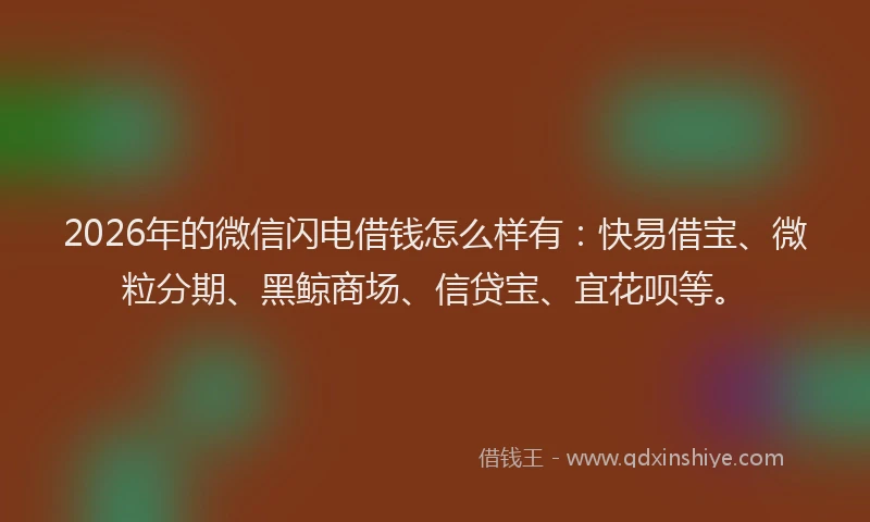 2026年的微信闪电借钱怎么样有：快易借宝、微粒分期、黑鲸商场、信贷宝、宜花呗等。