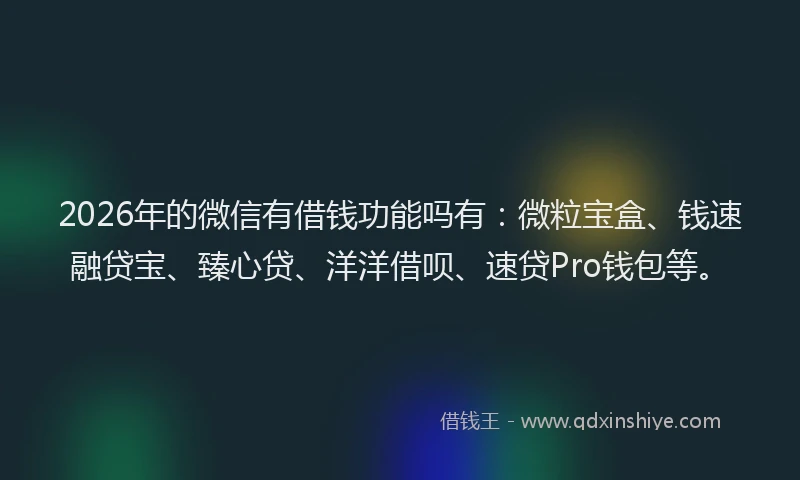 2026年的微信有借钱功能吗有：微粒宝盒、钱速融贷宝、臻心贷、洋洋借呗、速贷Pro钱包等。