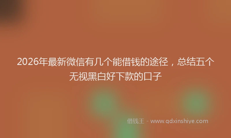 2026年最新微信有几个能借钱的途径，总结五个无视黑白好下款的口子