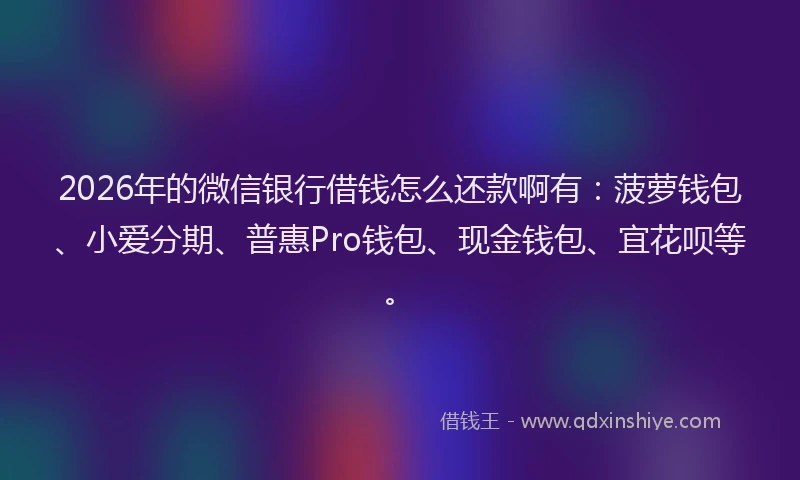 2026年的微信银行借钱怎么还款啊有：菠萝钱包、小爱分期、普惠Pro钱包、现金钱包、宜花呗等。