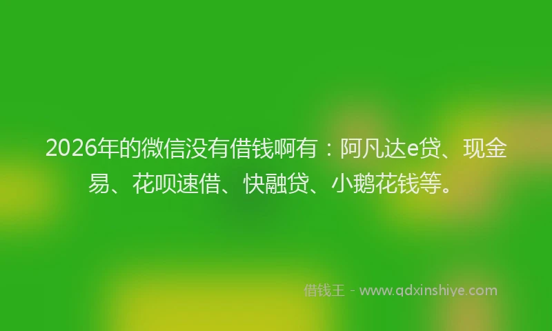 2026年的微信没有借钱啊有：阿凡达e贷、现金易、花呗速借、快融贷、小鹅花钱等。