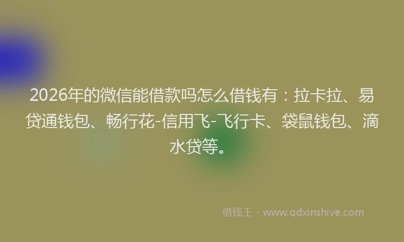 2026年的微信能借款吗怎么借钱有：拉卡拉、易贷通钱包、畅行花-信用飞-飞行卡、袋鼠钱包、滴水贷等。