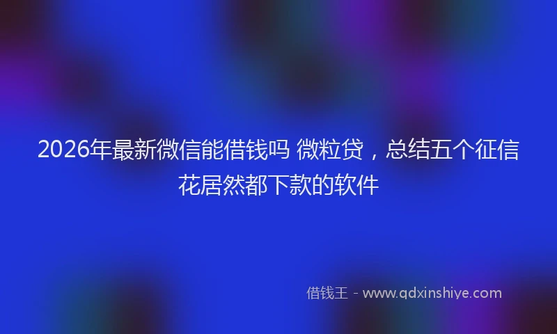 2026年最新微信能借钱吗 微粒贷，总结五个征信花居然都下款的软件