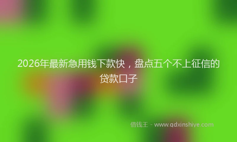 2026年最新急用钱下款快,盘点五个不上征信的贷款口子