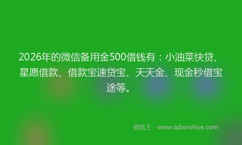2026年的微信备用金500借钱有：小油菜快贷、星愿借款、借款宝速贷宝、天天金、现金秒借宝途等。