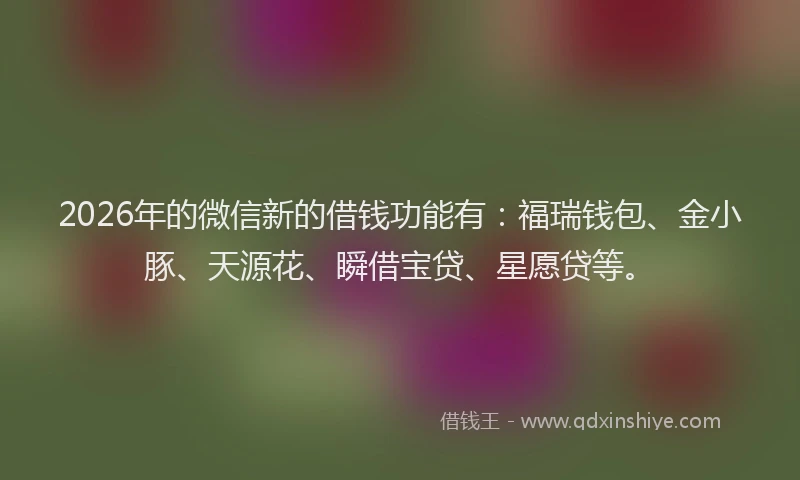 2026年的微信新的借钱功能有：福瑞钱包、金小豚、天源花、瞬借宝贷、星愿贷等。