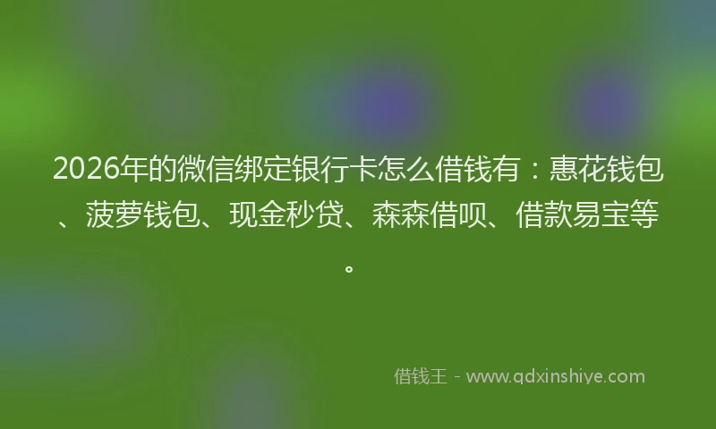 2026年的微信绑定银行卡怎么借钱有：惠花钱包、菠萝钱包、现金秒贷、森森借呗、借款易宝等。