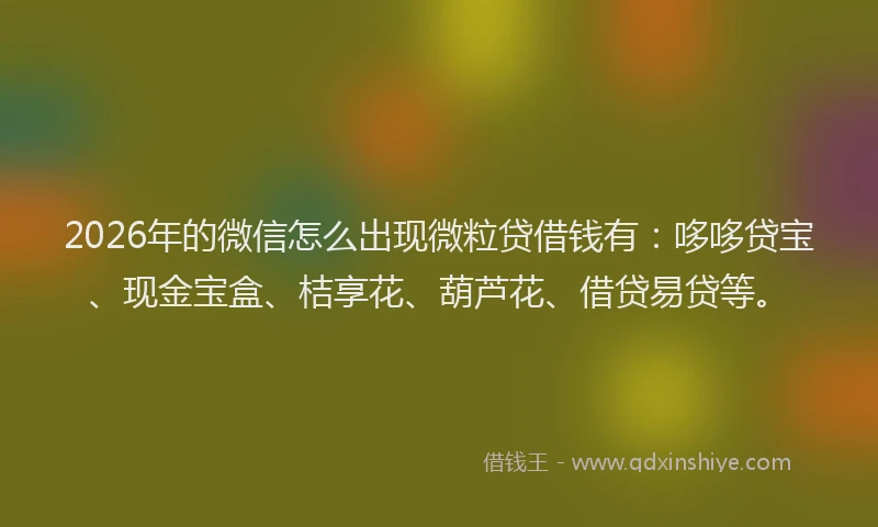 2026年的微信怎么出现微粒贷借钱有：哆哆贷宝、现金宝盒、桔享花、葫芦花、借贷易贷等。
