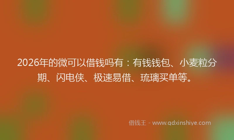 2026年的微可以借钱吗有：有钱钱包、小麦粒分期、闪电侠、极速易借、琉璃买单等。