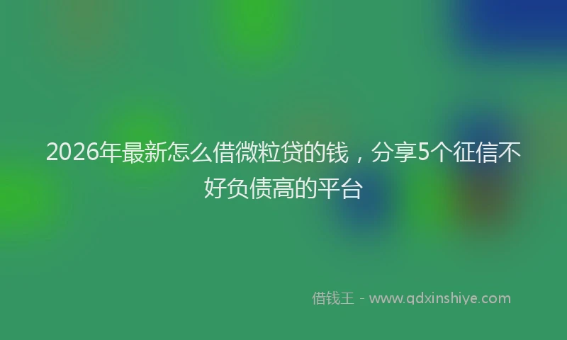 2026年最新怎么借微粒贷的钱，分享5个征信不好负债高的平台