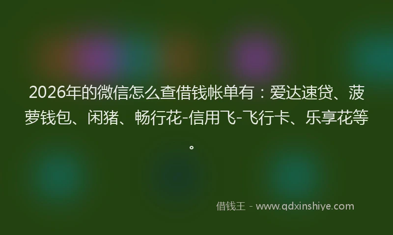 2026年的微信怎么查借钱帐单有：爱达速贷、菠萝钱包、闲猪、畅行花-信用飞-飞行卡、乐享花等。