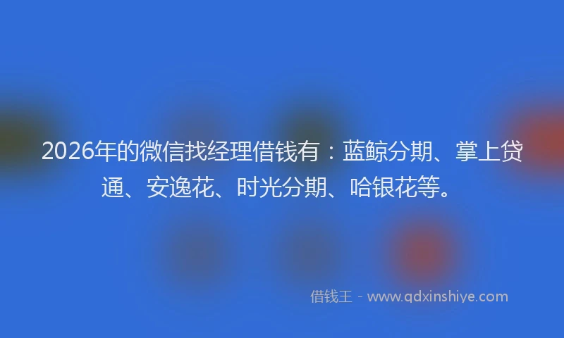 2026年的微信找经理借钱有：蓝鲸分期、掌上贷通、安逸花、时光分期、哈银花等。