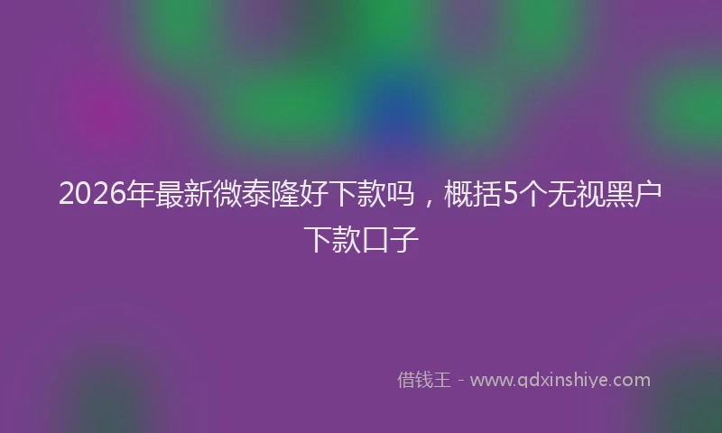 2026年最新微泰隆好下款吗，概括5个无视黑户下款口子