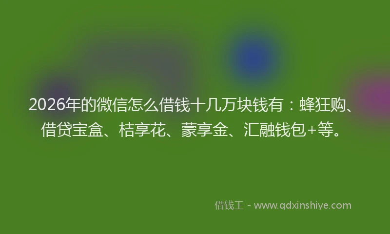 2026年的微信怎么借钱十几万块钱有：蜂狂购、借贷宝盒、桔享花、蒙享金、汇融钱包+等。