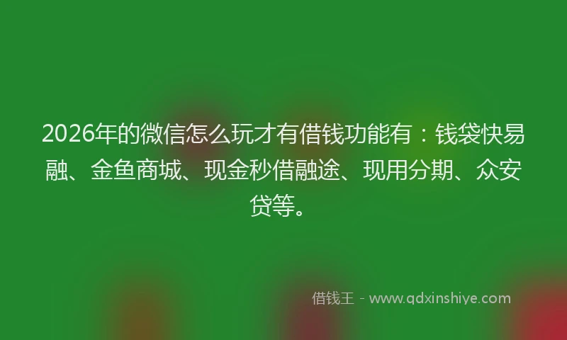 2026年的微信怎么玩才有借钱功能有：钱袋快易融、金鱼商城、现金秒借融途、现用分期、众安贷等。
