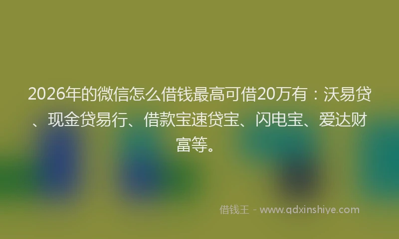 2026年的微信怎么借钱最高可借20万有：沃易贷、现金贷易行、借款宝速贷宝、闪电宝、爱达财富等。