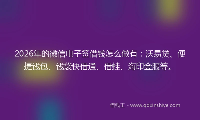 2026年的微信电子签借钱怎么做有：沃易贷、便捷钱包、钱袋快借通、借蛙、海印金服等。