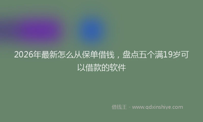 2026年最新怎么从保单借钱，盘点五个满19岁可以借款的软件