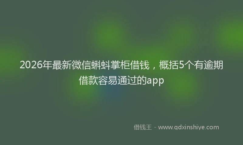 2026年最新微信蝌蚪掌柜借钱，概括5个有逾期借款容易通过的app
