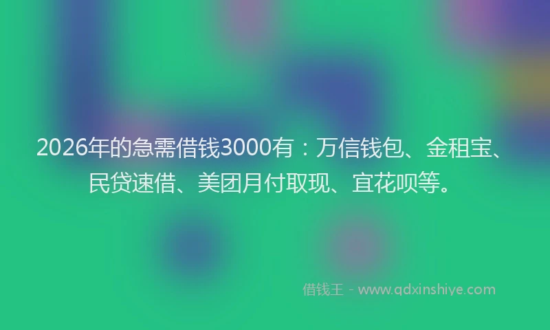 2026年的急需借钱3000有：万信钱包、金租宝、民贷速借、美团月付取现、宜花呗等。