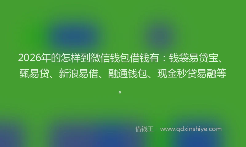 2026年的怎样到微信钱包借钱有：钱袋易贷宝、甄易贷、新浪易借、融通钱包、现金秒贷易融等。