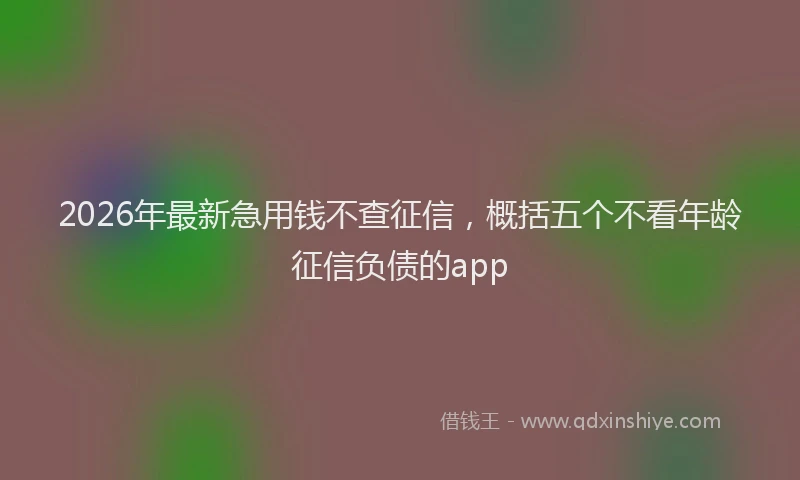2026年最新急用钱不查征信，概括五个不看年龄征信负债的app