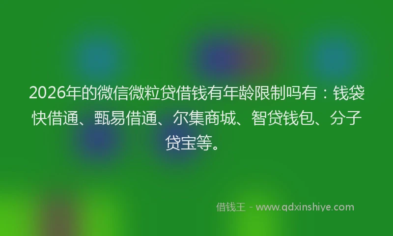 2026年的微信微粒贷借钱有年龄限制吗有：钱袋快借通、甄易借通、尔集商城、智贷钱包、分子贷宝等。
