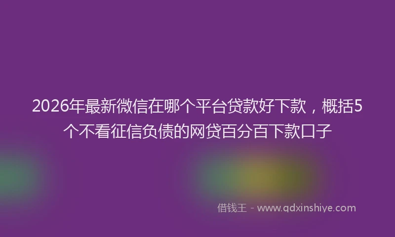 2026年最新微信在哪个平台贷款好下款，概括5个不看征信负债的网贷百分百下款口子