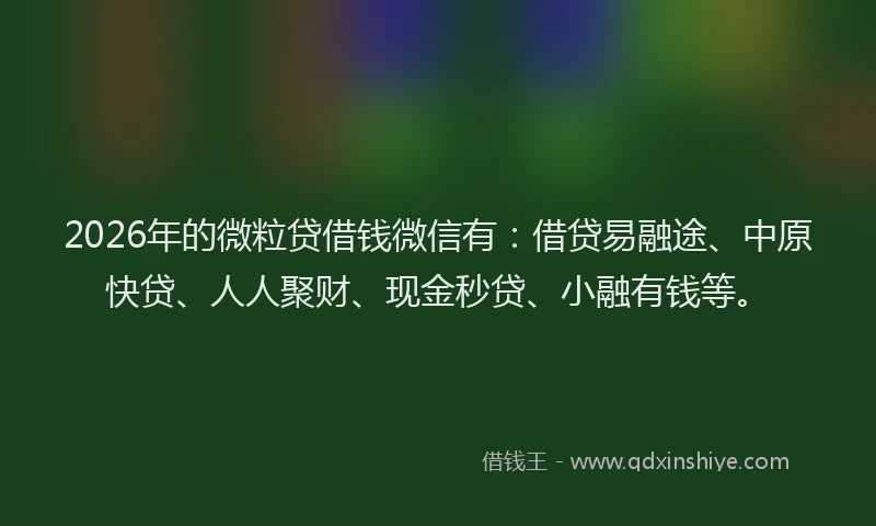 2026年的微粒贷借钱微信有：借贷易融途、中原快贷、人人聚财、现金秒贷、小融有钱等。