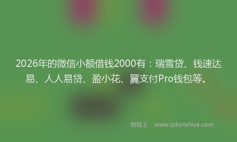 2026年的微信小额借钱2000有：瑞雪贷、钱速达易、人人易贷、盈小花、翼支付Pro钱包等。