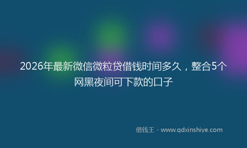 2026年最新微信微粒贷借钱时间多久，整合5个网黑夜间可下款的口子