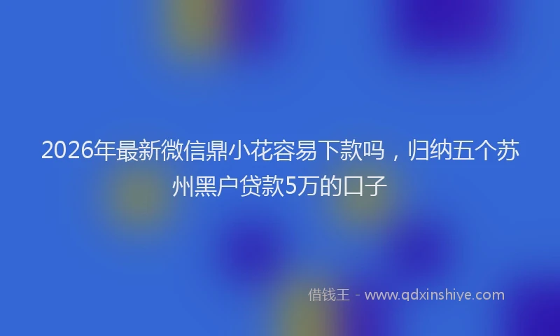 2026年最新微信鼎小花容易下款吗，归纳五个苏州黑户贷款5万的口子