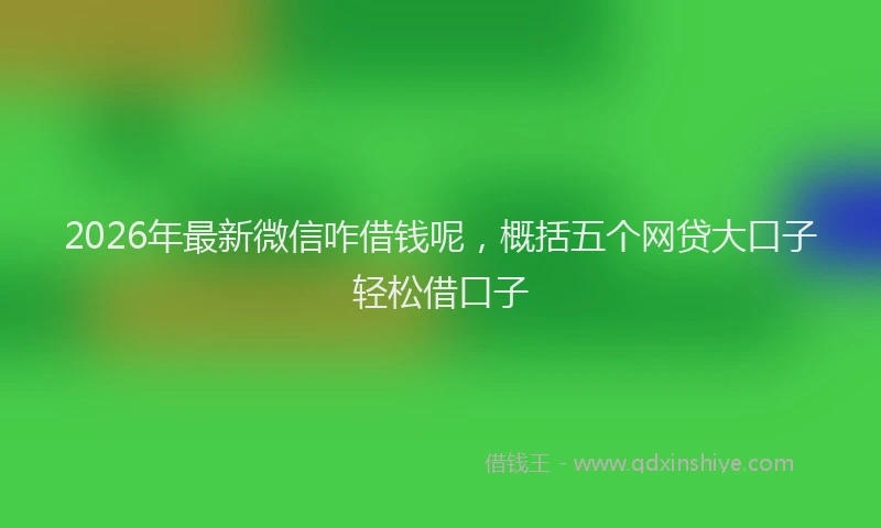 2026年最新微信咋借钱呢，概括五个网贷大口子轻松借口子