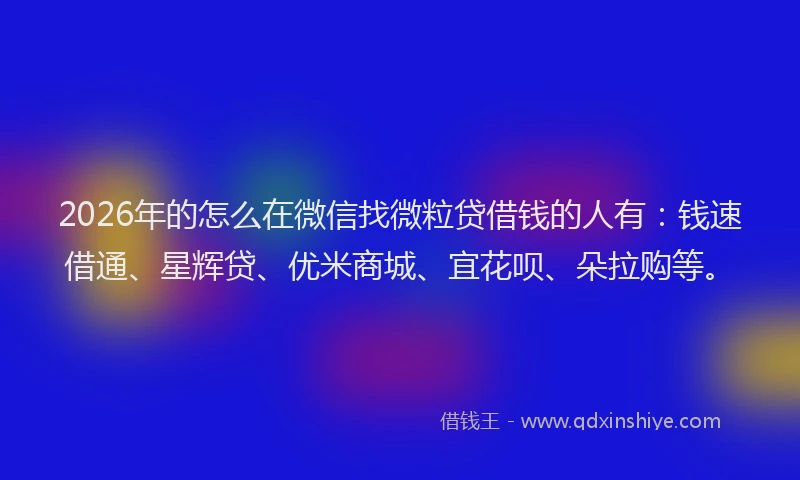 2026年的怎么在微信找微粒贷借钱的人有:钱速借通、星辉贷、优米商城、宜花呗、朵拉购等。