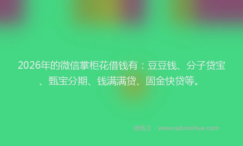 2026年的微信掌柜花借钱有：豆豆钱、分子贷宝、甄宝分期、钱满满贷、固金快贷等。