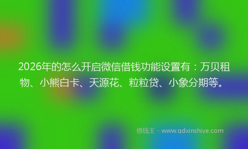 2026年的怎么开启微信借钱功能设置有：万贝租物、小熊白卡、天源花、粒粒贷、小象分期等。