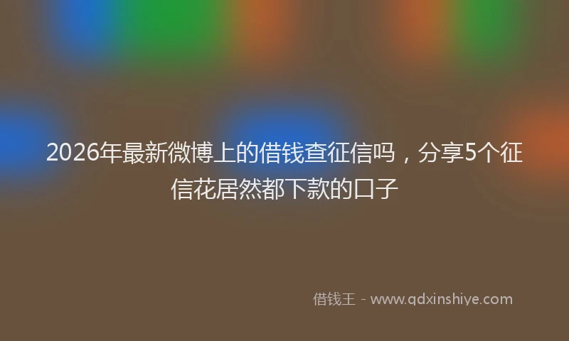 2026年最新微博上的借钱查征信吗，分享5个征信花居然都下款的口子