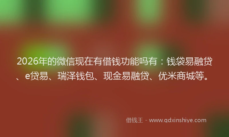 2026年的微信现在有借钱功能吗有：钱袋易融贷、e贷易、瑞泽钱包、现金易融贷、优米商城等。
