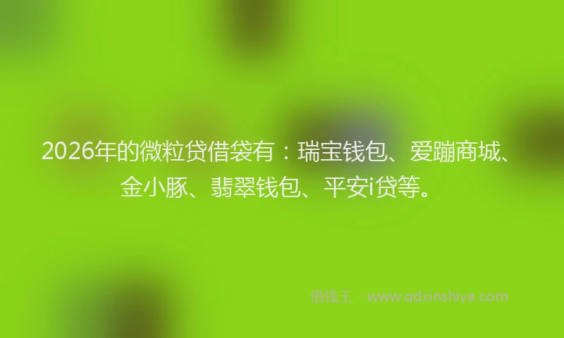 2026年的微粒贷借袋有：瑞宝钱包、爱蹦商城、金小豚、翡翠钱包、平安i贷等。