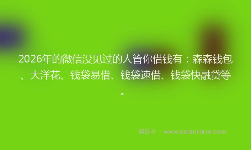 2026年的微信没见过的人管你借钱有：森森钱包、大洋花、钱袋易借、钱袋速借、钱袋快融贷等。