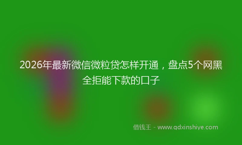2026年最新微信微粒贷怎样开通，盘点5个网黑全拒能下款的口子