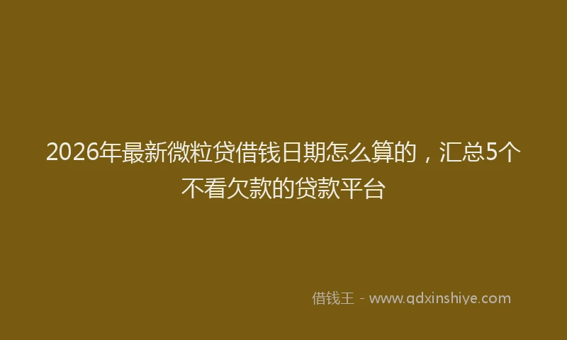 2026年最新微粒贷借钱日期怎么算的，汇总5个不看欠款的贷款平台