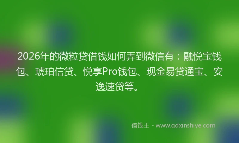 2026年的微粒贷借钱如何弄到微信有：融悦宝钱包、琥珀信贷、悦享Pro钱包、现金易贷通宝、安逸速贷等。