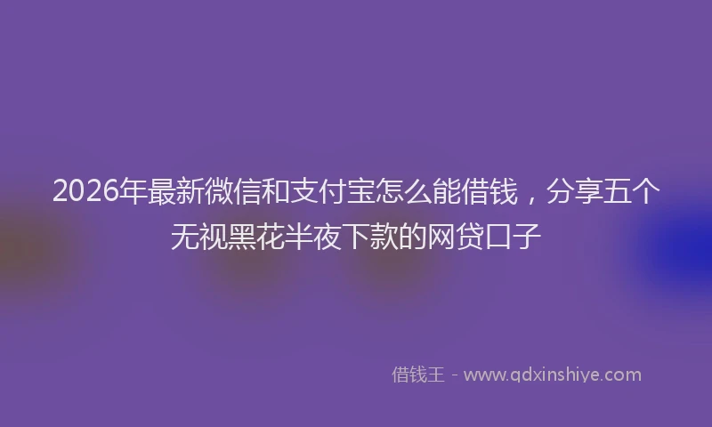 2026年最新微信和支付宝怎么能借钱，分享五个无视黑花半夜下款的网贷口子
