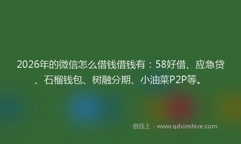 2026年的微信怎么借钱借钱有：58好借、应急贷、石榴钱包、树融分期、小油菜P2P等。